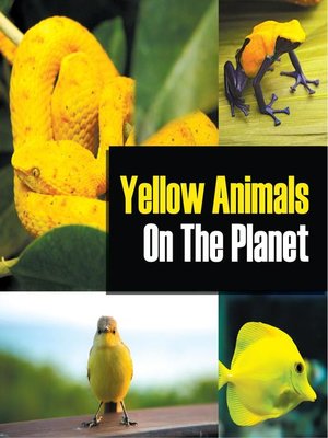 cover image of Yellow Animals On the Planet